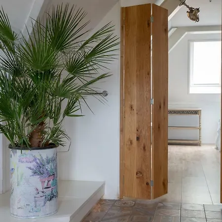 El Puerto לינה וארוחת בוקר הורן